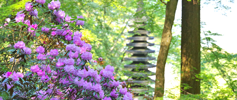 日本最初やくよけ霊場　｜　年中行事