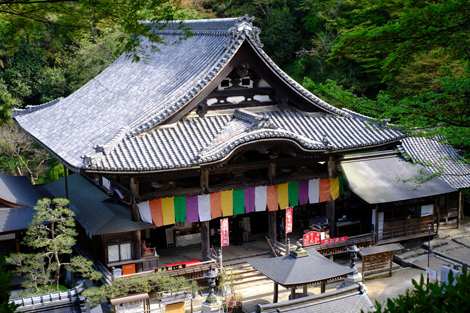 境内｜日本最初やくよけ霊場・西国第七番 岡寺