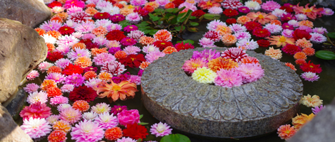 日本最初やくよけ霊場　｜　年中行事